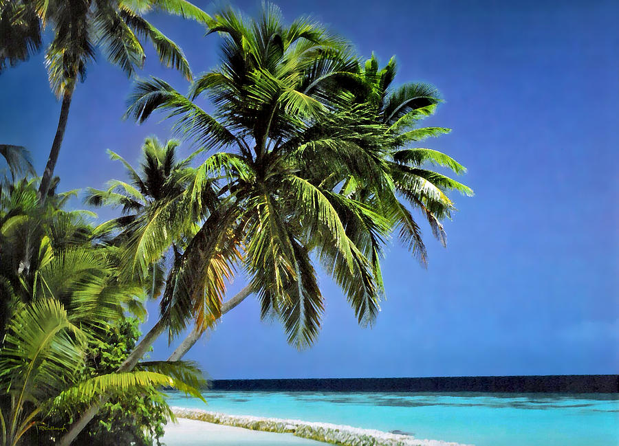 Palm Trees On Little Palm Island Filtered Photograph by ...