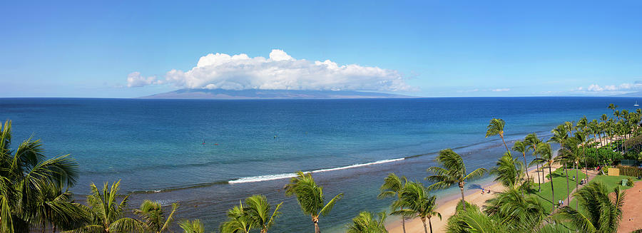 Palm Trees On The Beach, Kaanapali Photograph by Panoramic Images
