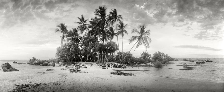 Black And White Photograph - Palm Trees On The Beach, Morro De Sao by Panoramic Images