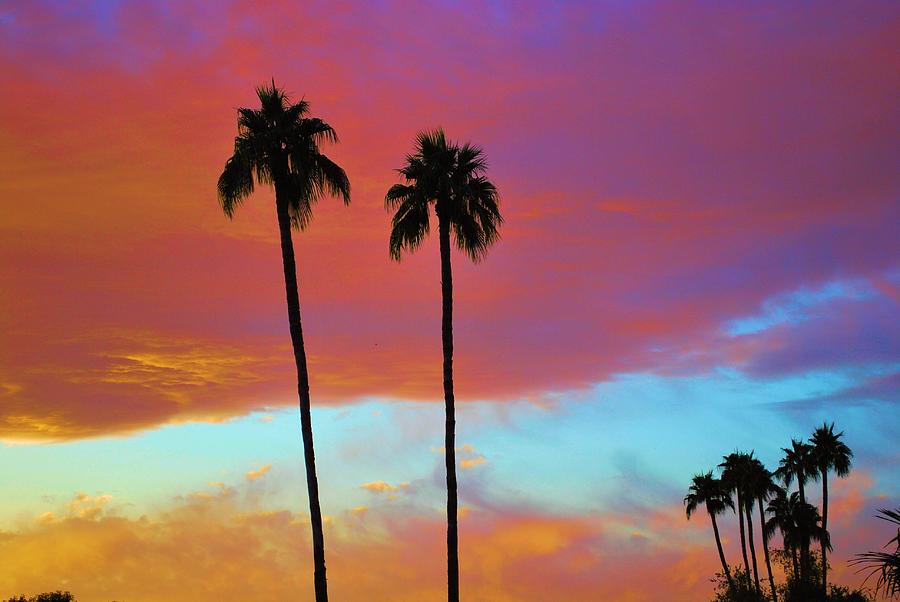 Palm Trees Sunset Photograph by Richard Jenkins | Fine Art America