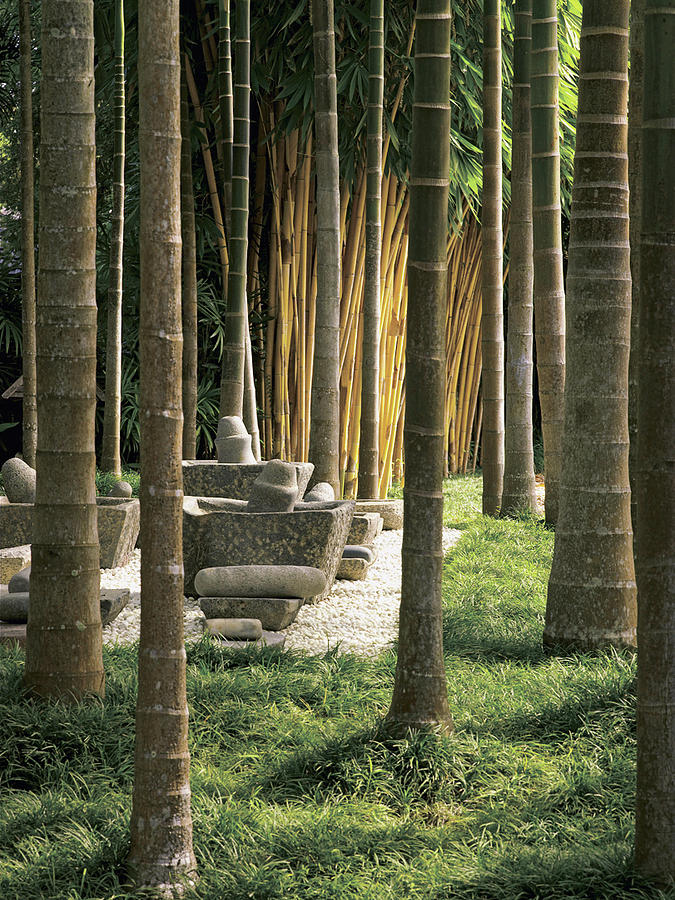 Palm Trees With Mortar And Pestles In Garden Photograph by Robert McLeod