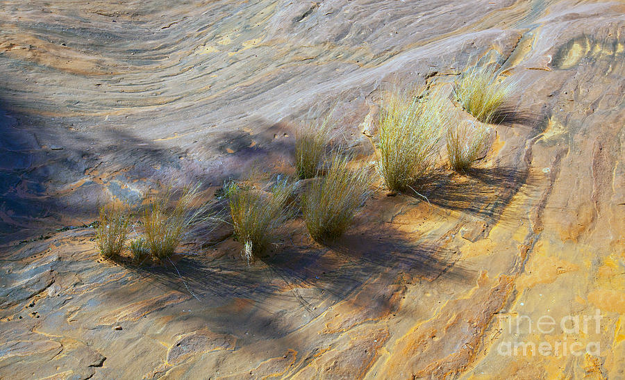 Palm Valley Rock Textures Photograph by Bill  Robinson