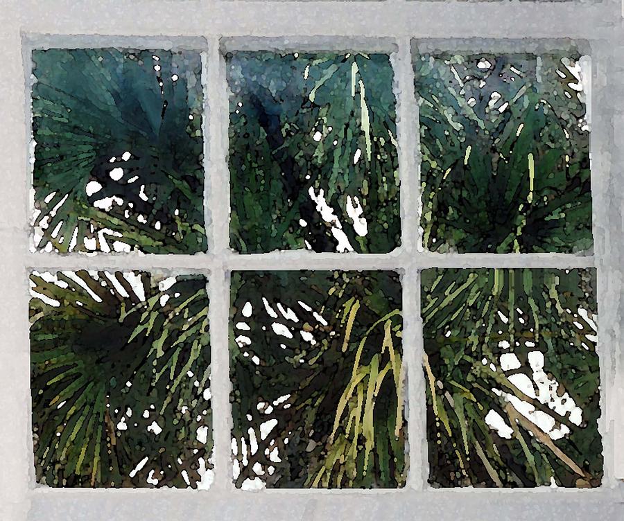 Palm Window Photograph by Edward Shmunes