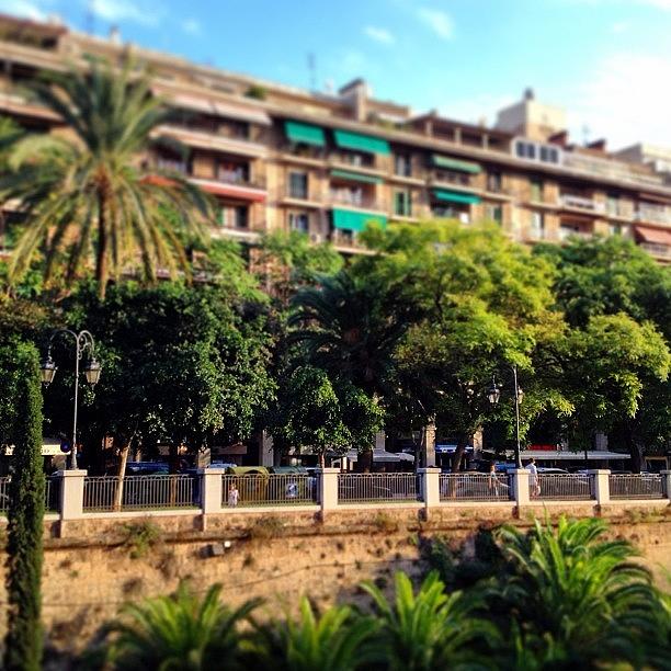 Cityscape Photograph - #palma Mallorca #boulevard #greenspaces by Balearic Discovery