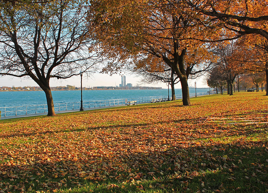 Palmer Park in the Fall Photograph by Mary Bedy