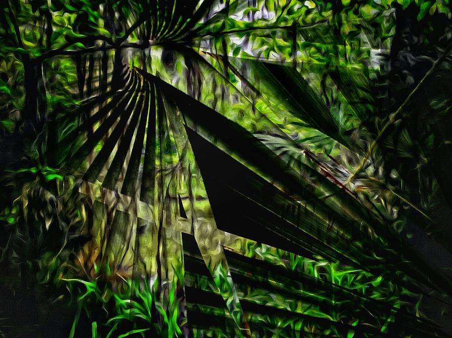 Palmetto Swamp Photograph by John  Duplantis
