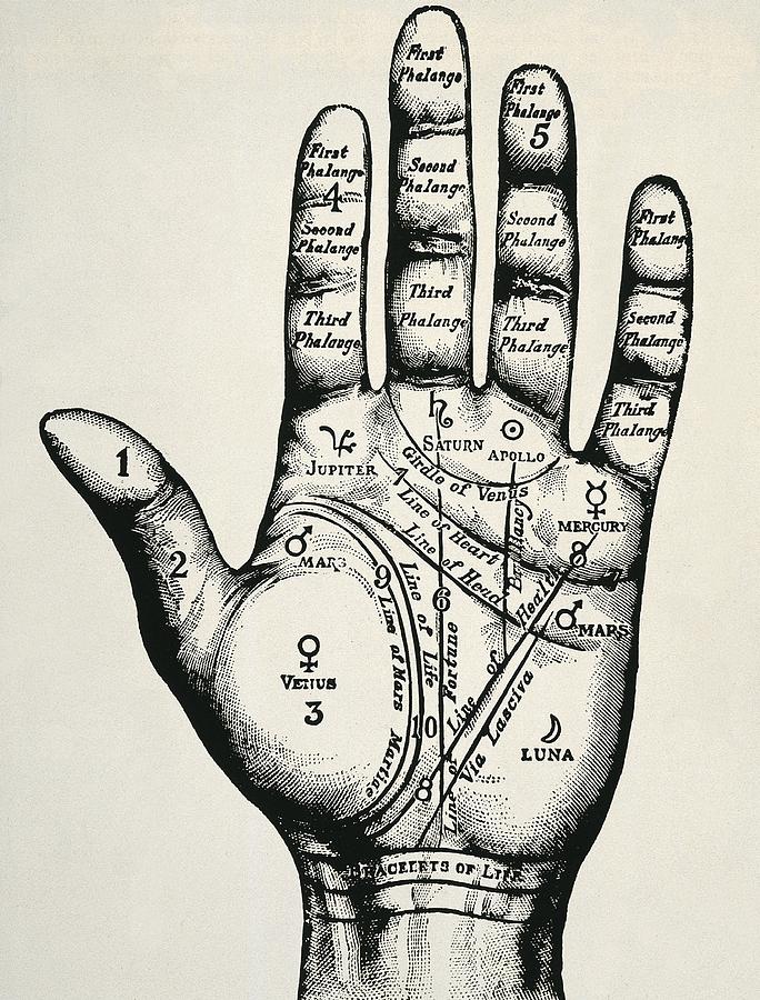 Palmistry. Planetary And Zodiacal Photograph by Everett - Pixels