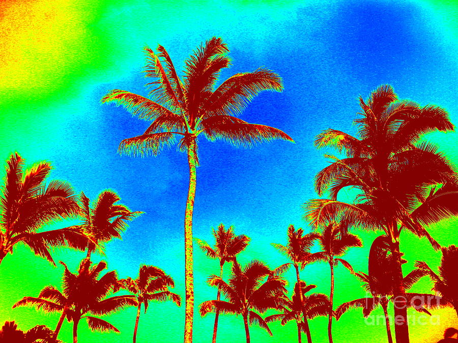Palms Photograph by Alex Blaha