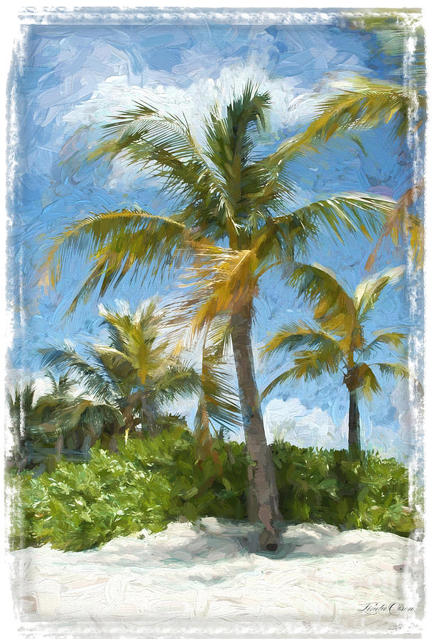 Palms and Beach Digital Art by Linda Olsen