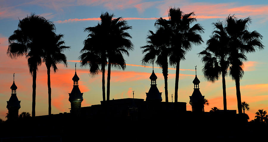 Palms and Minarets Photograph by David Lee Thompson
