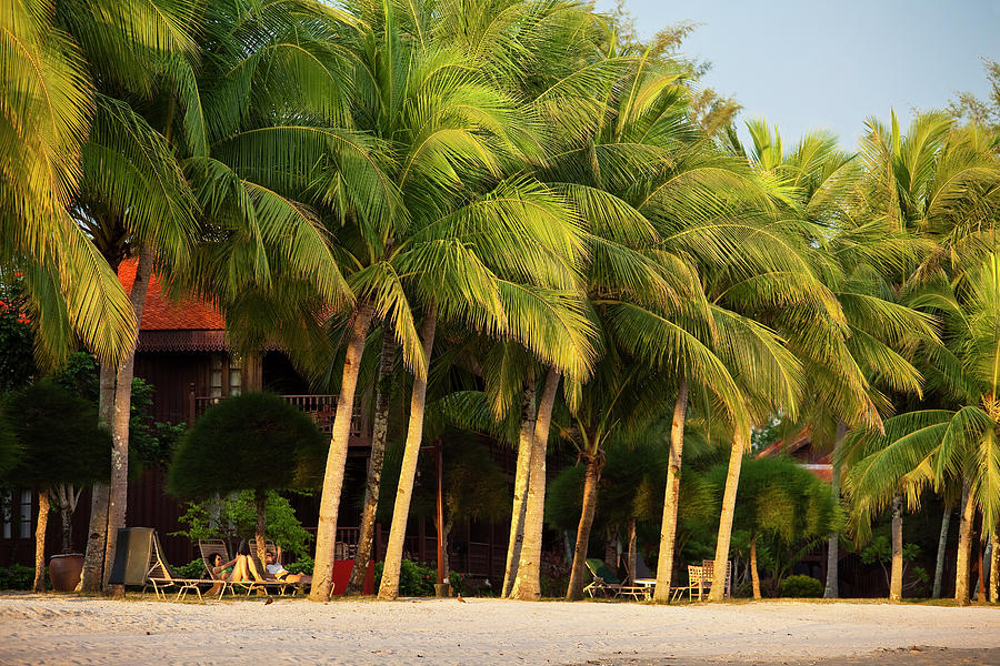 Palms And Resort On Beach Photograph by Richard Ianson
