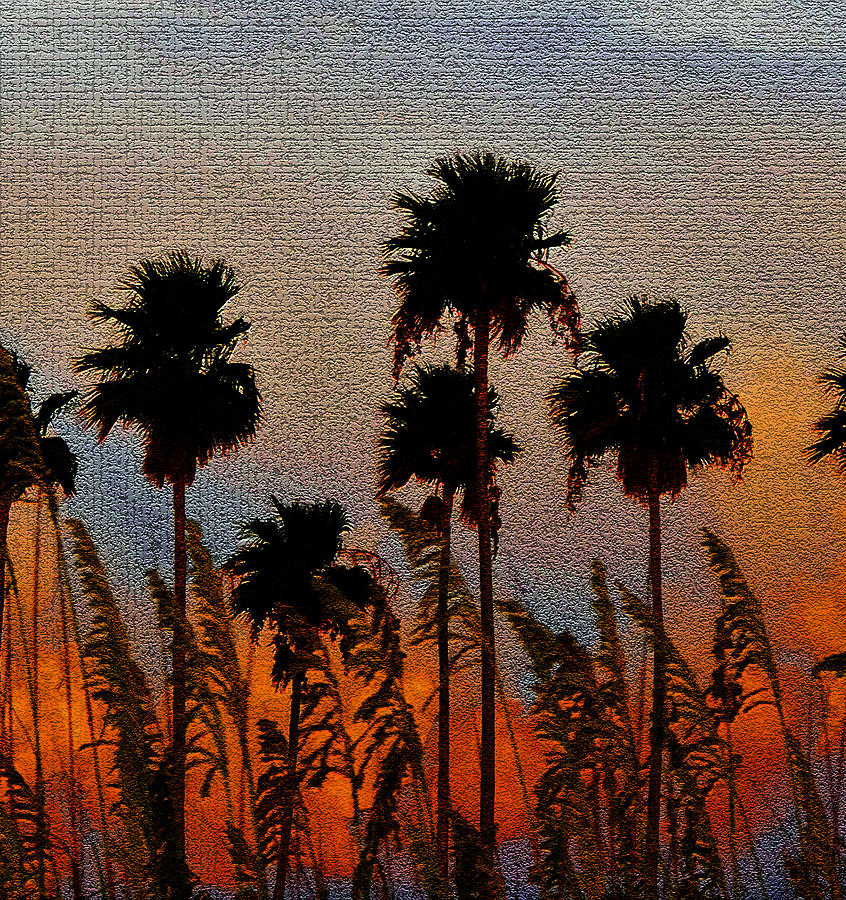 Palms and Sea Oats antique style A Photograph by David Lee Thompson