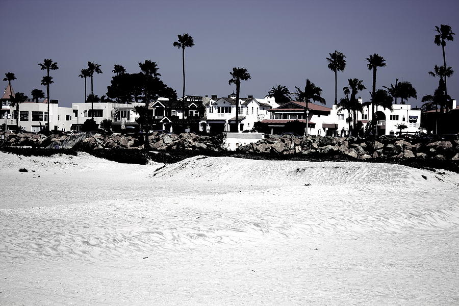 San Diego Photograph - Palms by Bailey Barry