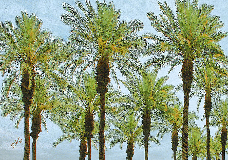 Palms Photograph by Ben and Raisa Gertsberg