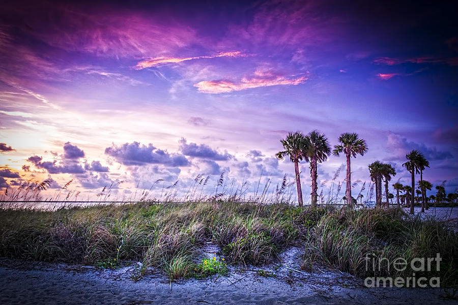 Sunset Photograph - Palms on the Beach by Marvin Spates