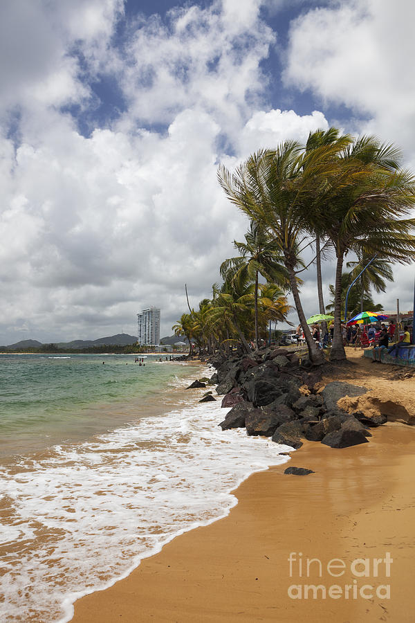 Palms Trees Along Luquillo Beach Photograph by Bryan Mullennix