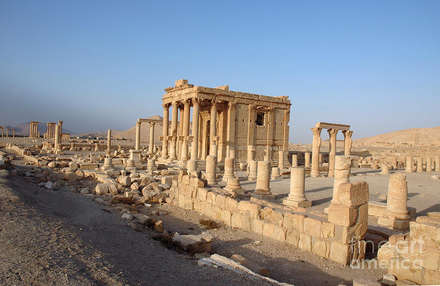 Palmyra, Syria Photograph by Catherine Ursillo