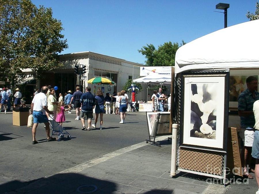 Palo Alto art and wine Photograph by Ted Pollard Fine Art America