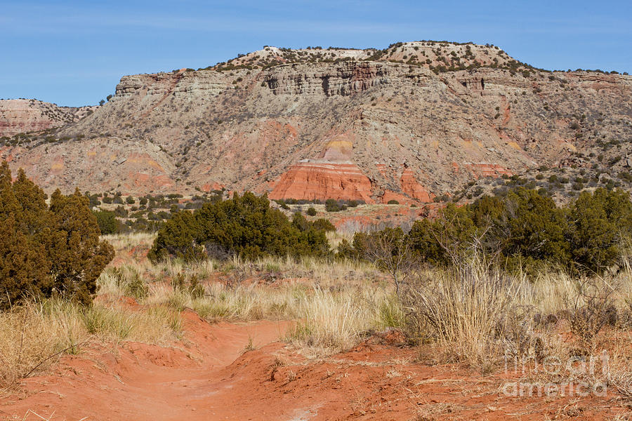 Landscape Photograph - Palo Duro Canyon Trail by Ashley M Conger