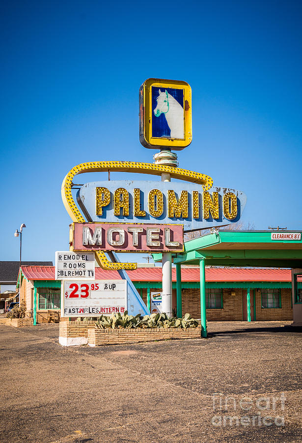 Palomino Motel Sign Photograph by Bob and Nancy Kendrick