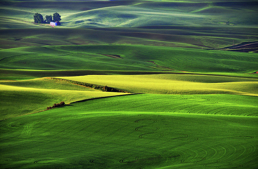 Palouse Farm Country By Mitch Diamond