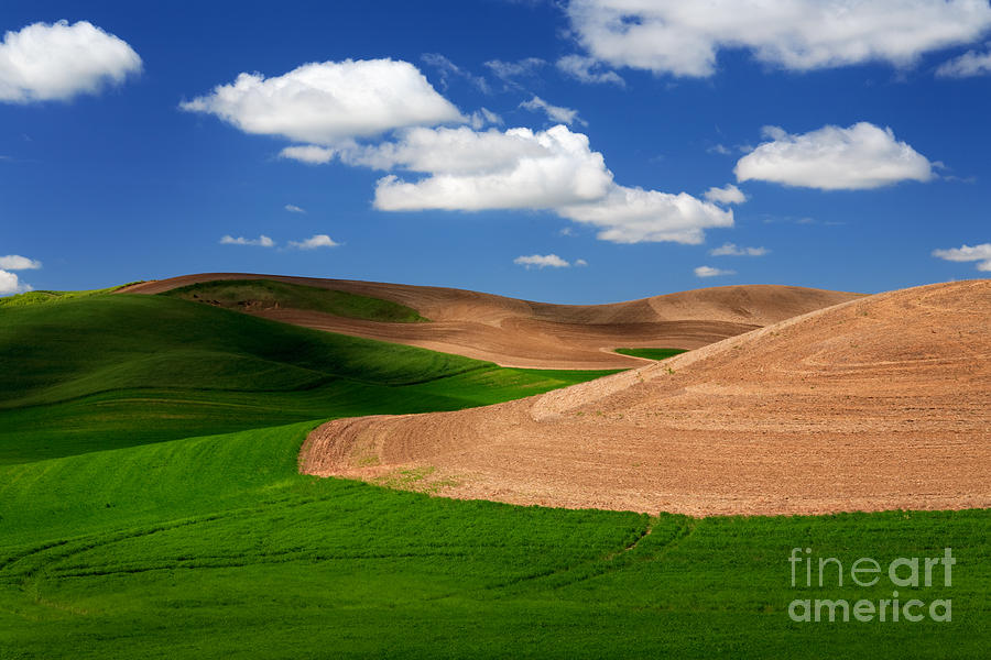 Farm Photograph - Palouse Fields and Clouds by Inge Johnsson