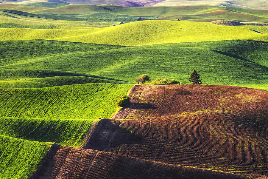 Palouse in Contrast Photograph by Mark Kiver