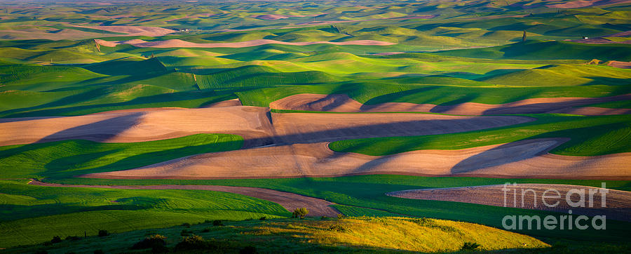 Architecture Photograph - Palouse Ocean of Wheat by Inge Johnsson