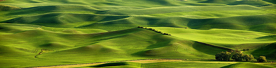 Palouse Panorama Photograph by Mary Jo Allen