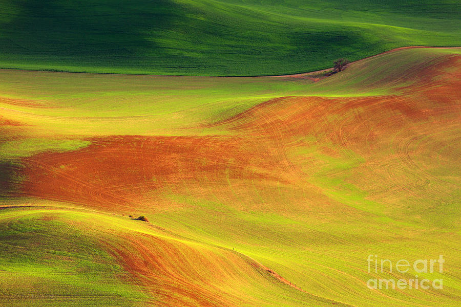 Palouse Patterns Photograph by Beve Brown-Clark Photography