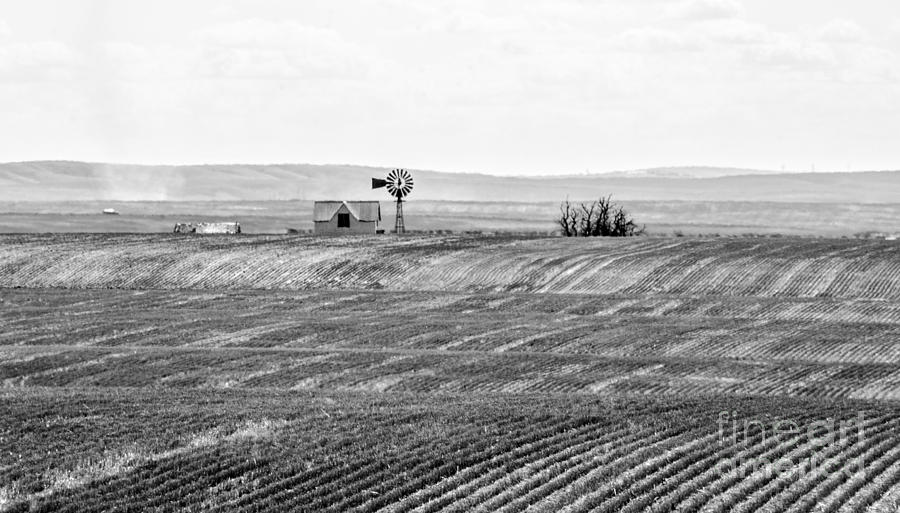Palouse Scenic Byway Photograph by Amy Fearn