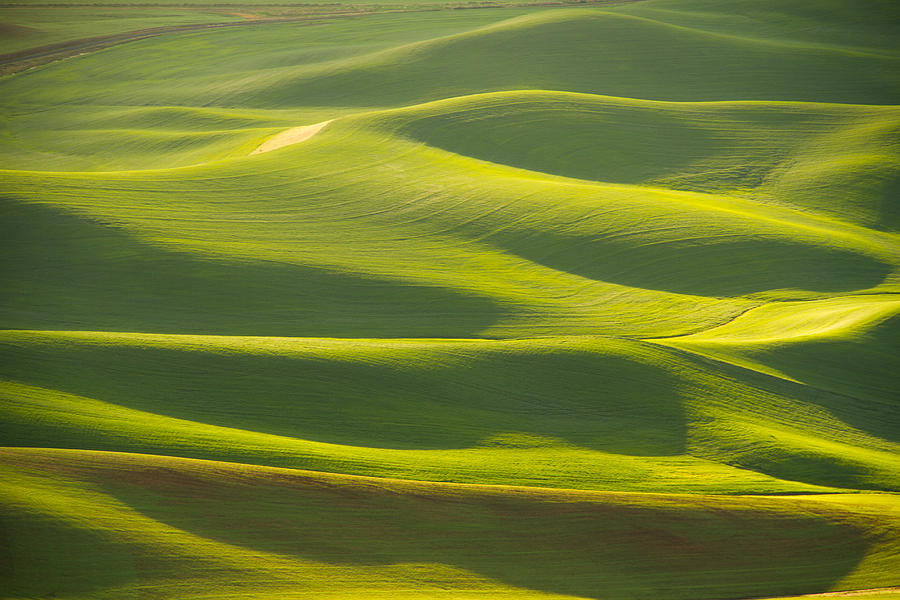 Palouse spring Photograph by Kunal Mehra
