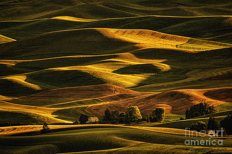 Palouse Sunset from Steptoe Butte Photograph by Priscilla Burgers