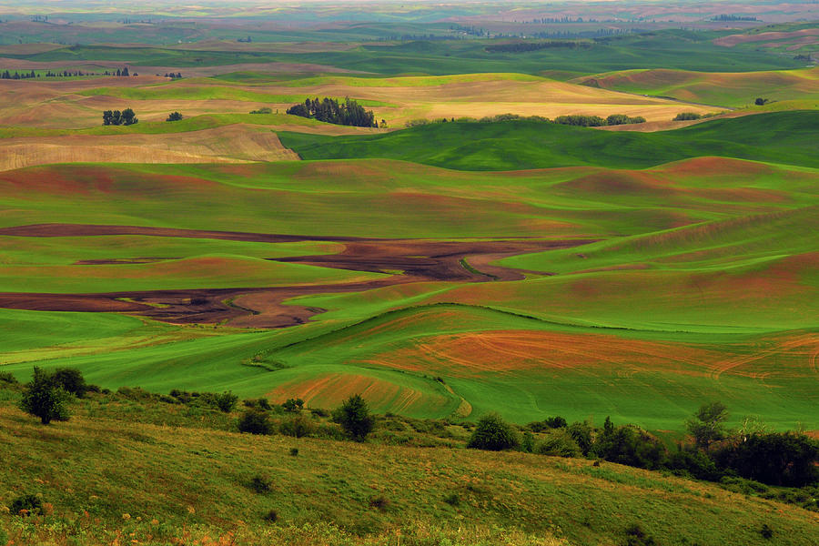 Nature Photograph - Palouse View From Steptoe Butte by Michel Hersen