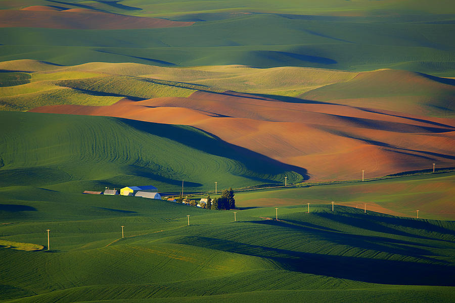 Palouse - Washington - Farms - 1 Photograph by Nikolyn McDonald - Fine ...