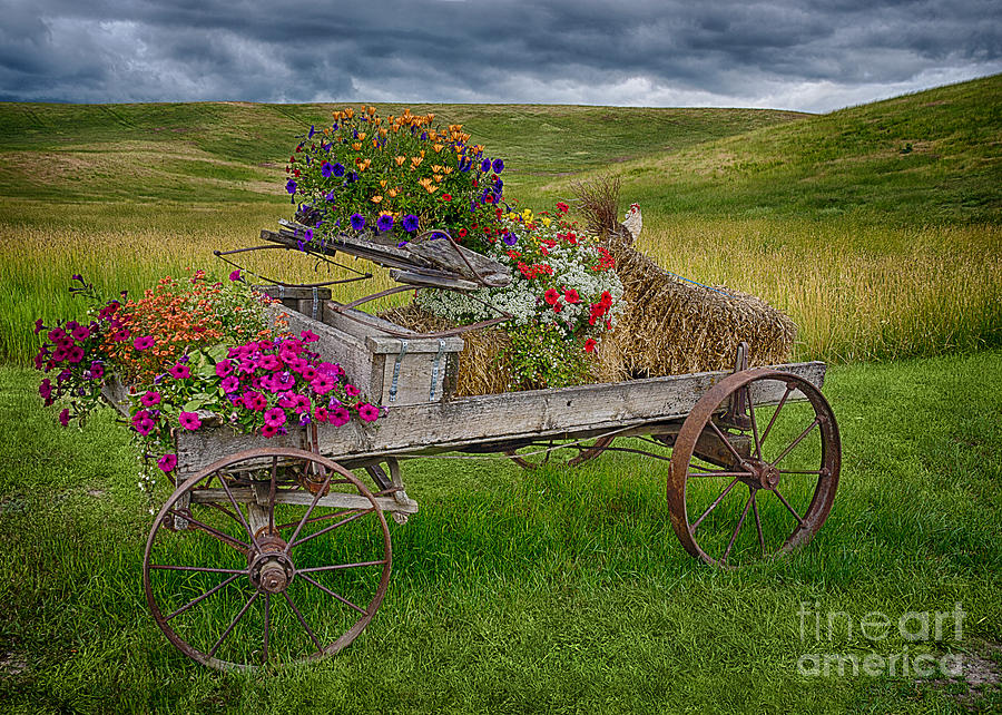 Palouse Welcome Wagon Photograph by Priscilla Burgers