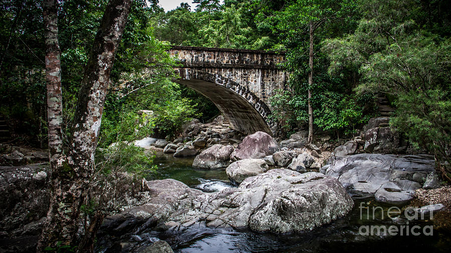 Paluma Arch Bridge Photograph by Perry Webster