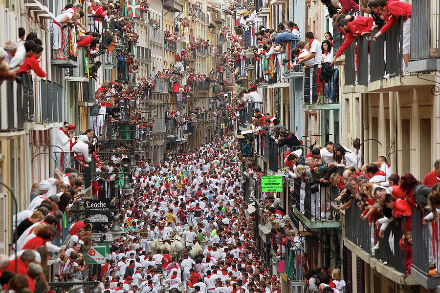 Animal Photograph - Pamplona Running Of The Bulls by Pablo Blazquez Dominguez