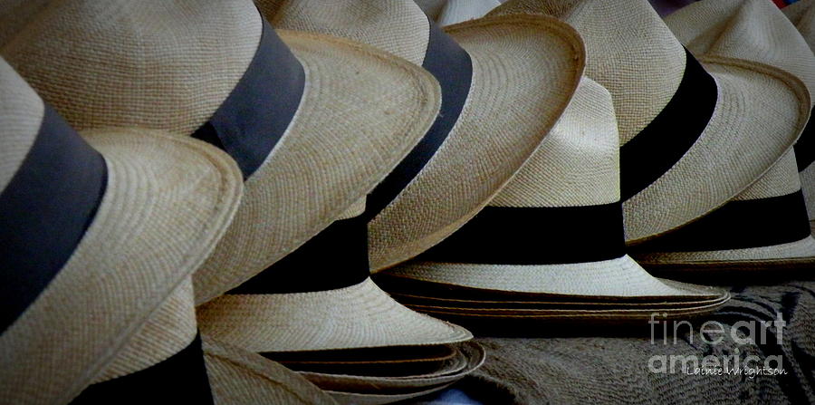 Panama Hats Photograph by Lainie Wrightson