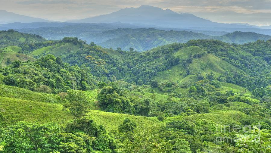 Tree Photograph - Panama Landscape by Heiko Koehrer-Wagner