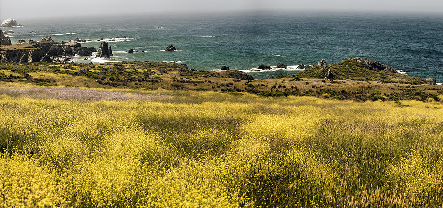Panarama Spring On Califronia Coast By Denise DUbe Photograph by Denise Dube