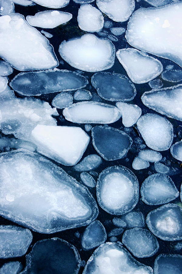 Pancake Ice Photograph by Michael Clutson/science Photo Library