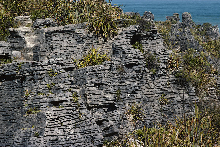 Pancake Rocks, New Zealand Photograph by A.b. Joyce