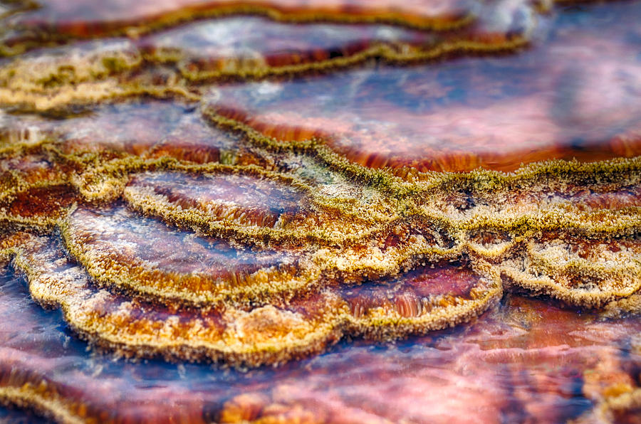 Abstract Photograph - Pancakes Hot Springs by Scott Campbell