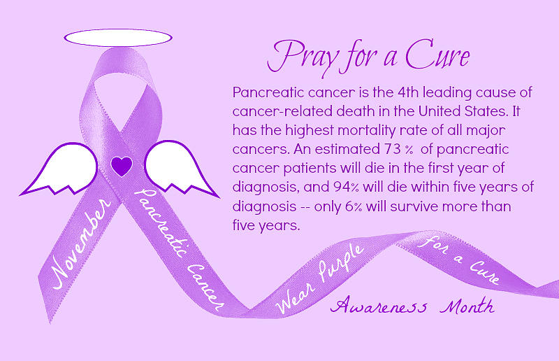 Pancreatic Cancer Awareness Photograph by Jean Wright