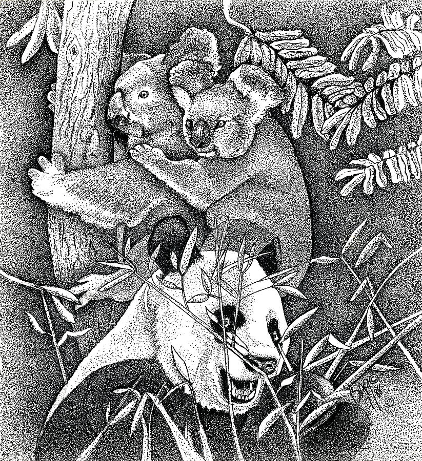 Nature Drawing - Panda and Koala by Brian Gilna