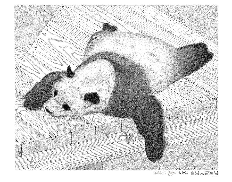 Panda Digital Art by Arthur Eggers