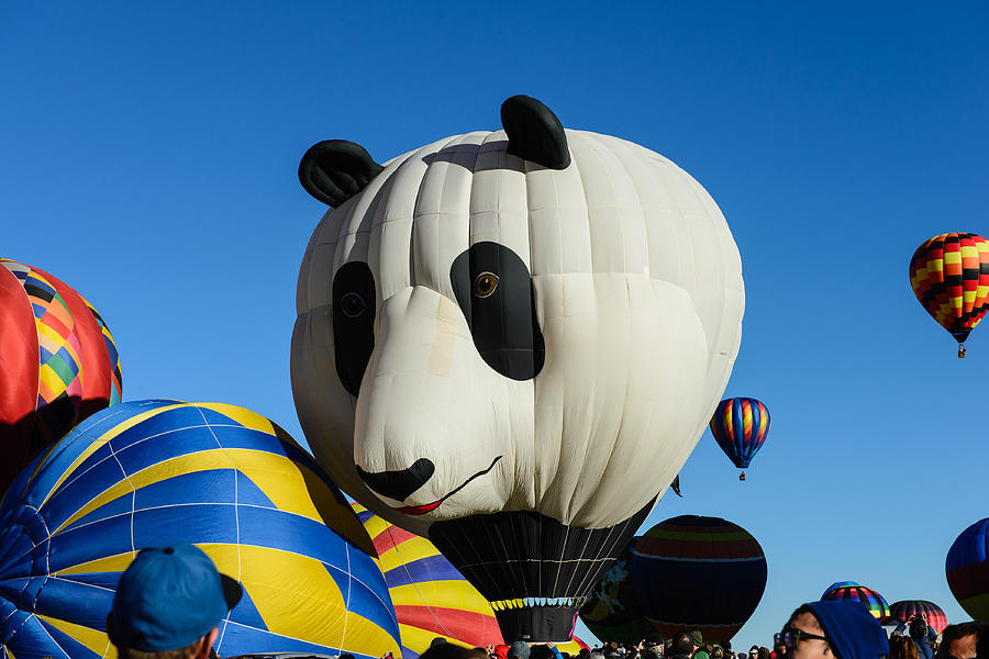 Panda balloon Photograph by John Johnson