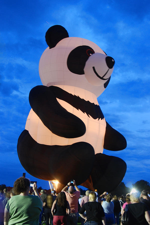 Up Movie Photograph - Panda Balloon by Phyllis Taylor