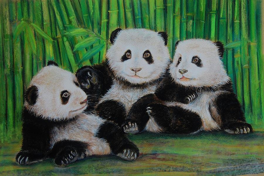 Panda Cubs Drawing by Jean Cormier
